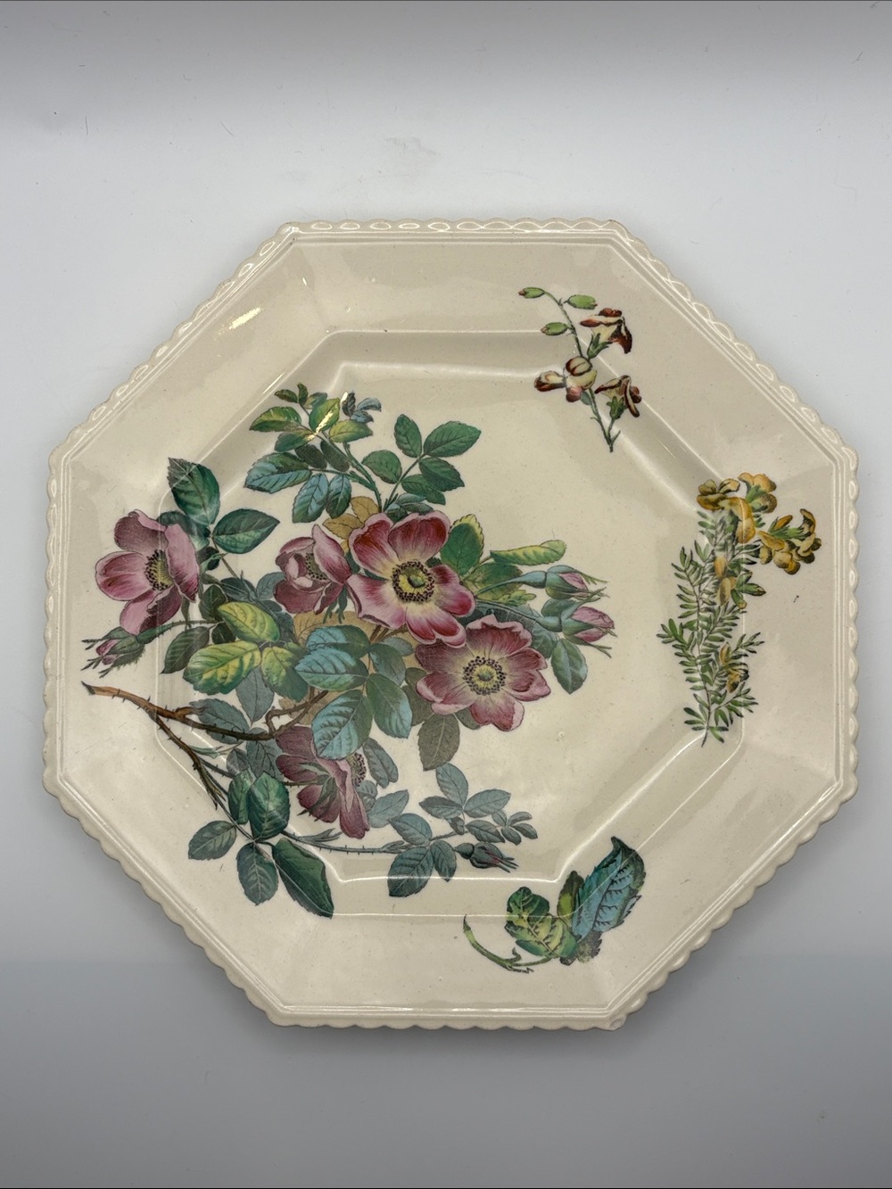 RARE 1883 Copeland Spode
Octagonal Wild Rose Hand Painted 8.25"
Plate
